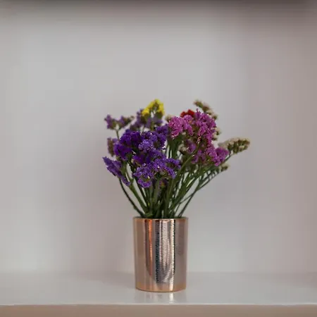 Dimora Pietrabianca モノーポリ